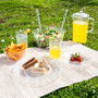 Quid Assiette Plate Viba Polystyrène 26 cm (24 Unités) Transparent