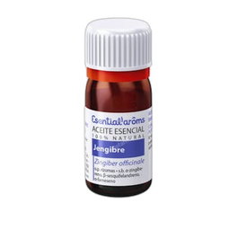 ESENTIAL AROMS JENGIBRE huile essentielle 100 ml