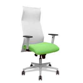 Piqueras y Crespo Chaise de Bureau Albacete Blanc et Pistache