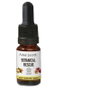 Alma Secret Botanical Rescue Sérum Capillaire 10 ml