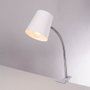Centurion Lampe de bureau Flexo en métal avec pince
