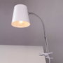 Centurion Lampe de bureau Flexo en métal avec pince