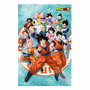 SD TOYS Poster 3D Dragon Ball Super Superviviencia del Universo - PVC, Plastique, 58x38 cm