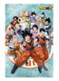 Sd toys Poster 3D Dragon Ball Super Universe Survival 58x38 cm Lenticulaire PVC