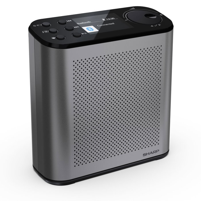 Sharp DR-P530 Osaka - Radio numérique portable Gris Tempête Sharp DR-P530 Osaka - Radio numérique portable Gris Tempête