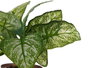 Ibergarden Plante Artificielle Verte en Pot Cuivre 26x26x26 cm Plastique et Métal (Set de 12)