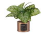 Ibergarden Plante Artificielle Verte en Pot Cuivre 26x26x26 cm Plastique et Métal (Set de 12)