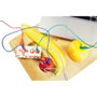 Makey Makey Makey Makey Makey Makey Makey Makey Makey Makey Makey Makey Makey Makey Makey Makey
