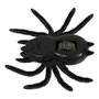 Jeux 2 momes Araña Escurridiza