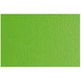 Papier carton Sadipal LR 200 Texturisée Vert clair 50 x 70 cm (20 Unités)