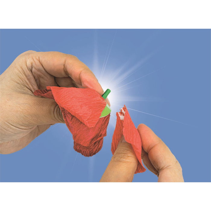 Clementoni Crée tes fleurs - Coquelicot - Coffret de 2 fleurs à assembler et personnaliser