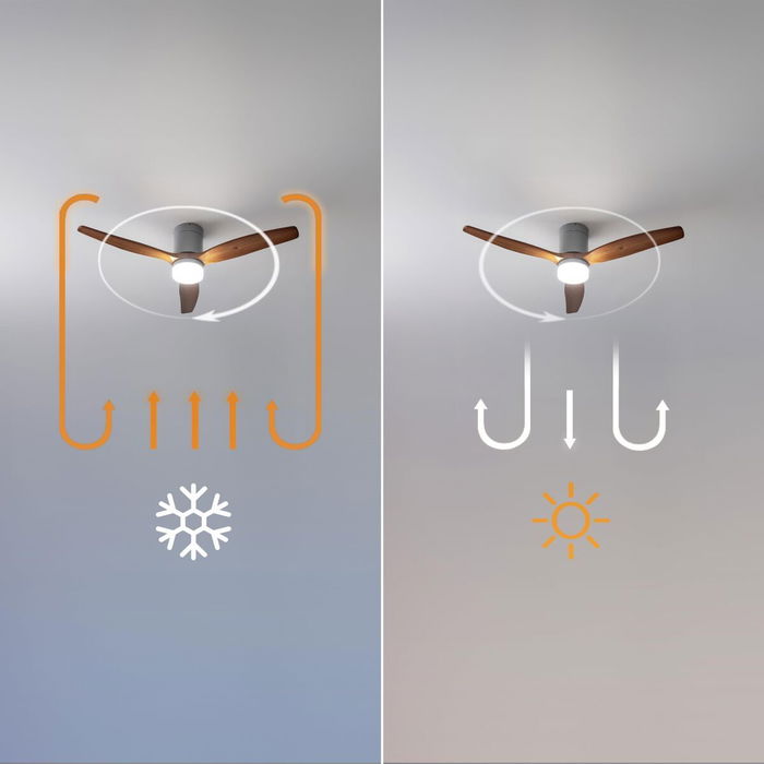 Ventilateur de Plafond avec Lumière Cecotec EnergySilence Aero 5600 18 W Noir Brun foncé