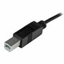 Câble USB C vers USB B Startech USB2CB2M (2 m) Noir
