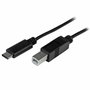 Câble USB C vers USB B Startech USB2CB2M (2 m) Noir
