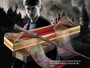 The Noble Collection Réplique Baguette Magique Harry Potter 35 cm avec Coffret
