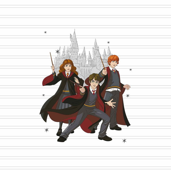 Housse de Couette Harry Potter Team Multicouleur 175 Fils 180 x 220 cm Lit 1 persone Housse de Couette Harry Potter Team Multicouleur 175 Fils 180 x 220 cm Lit 1 persone