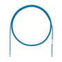 Câble Réseau Rigide UTP 6ème Catégorie Panduit UTP28X1M Bleu 1 m