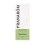Pranarôm Huile Essentielle de Ravintsara 10 ml