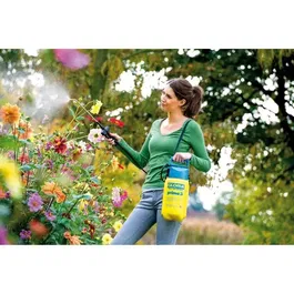 Gloria Prima 3 Pulvérisateur à main 3L 3 bar, réservoir polyéthylène, avec lance et sangle