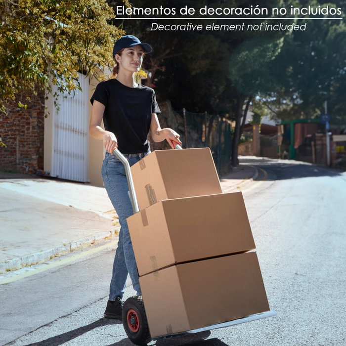 ARTICULOS SIN MARCA PREDETERM Boîte d'emballage anonyme N°4 256 x 155 x 136 mm