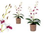 Ibergarden Maceta Terracota avec Fleur Blanche et Violette 10x47x25 cm Tissu Plastique Métal Ciment (Set de 6)