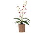 Ibergarden Maceta Terracota avec Fleur Blanche et Violette 10x47x25 cm Tissu Plastique Métal Ciment (Set de 6)