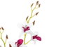 Ibergarden Maceta Terracota avec Fleur Blanche et Violette 10x47x25 cm Tissu Plastique Métal Ciment (Set de 6)