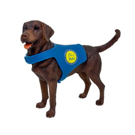 DEQUBE Labrador Retriever Chocolat avec Gilet Bocalán