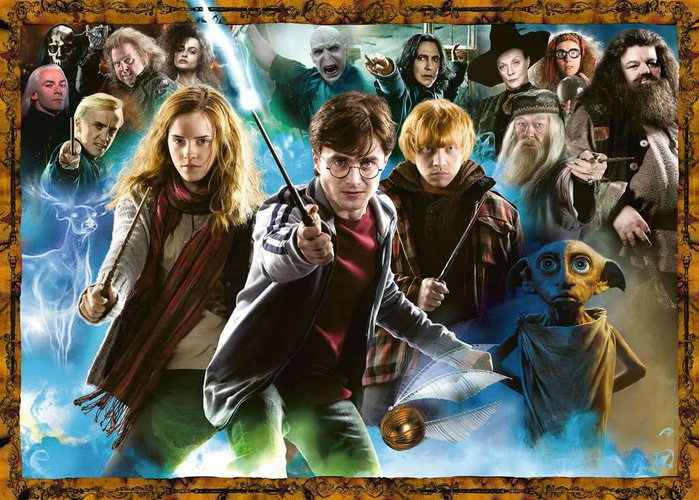Harry Potter puzzle Harry Potter et les sorciers (1000 pièces)