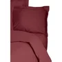 Parure de lit 100% coton renforcé, 1 housse de couette 240 x 220 cm + 2 taies d'oreiller 60 x 60 cm, fermeture boutons et enveloppe, couleur Bordeaux