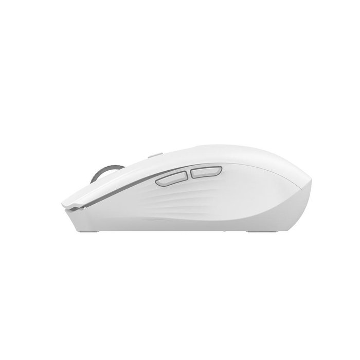 Coolbox Souris Gaming Sans Fil W01 Blanche RGB 6 Boutons USB-C 800-1600 DPI Coolbox Souris Gaming Sans Fil W01 Blanche RGB 6 Boutons USB-C 800-1600 DPI