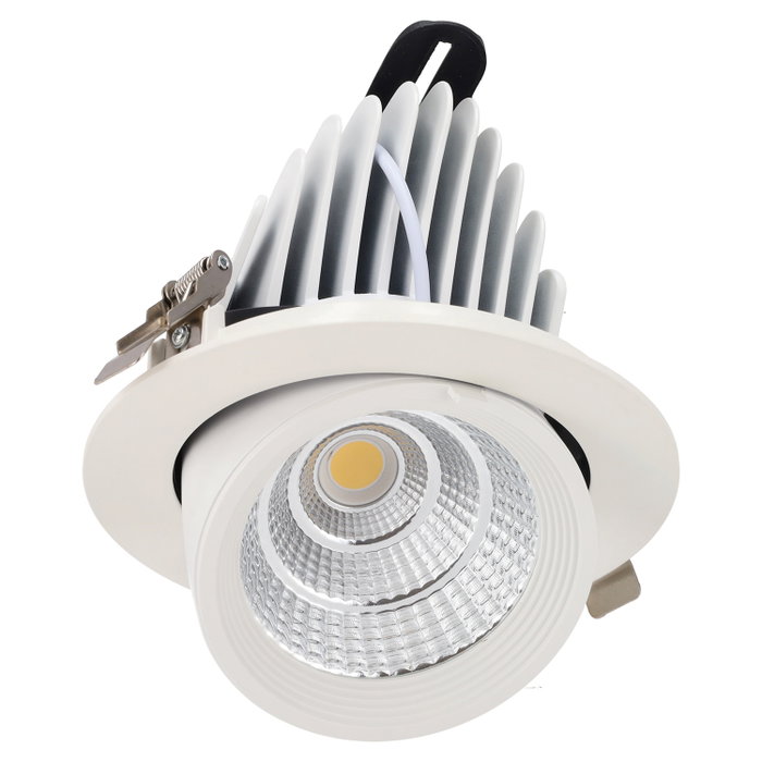 Spot encastré LED inclinable 36W - Puce spéciale pour boucheries - Rose Spot encastré LED inclinable 36W - Puce spéciale pour boucheries - Rose