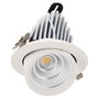 Spot encastré LED inclinable 36W - Puce spéciale pour boucheries - Rose