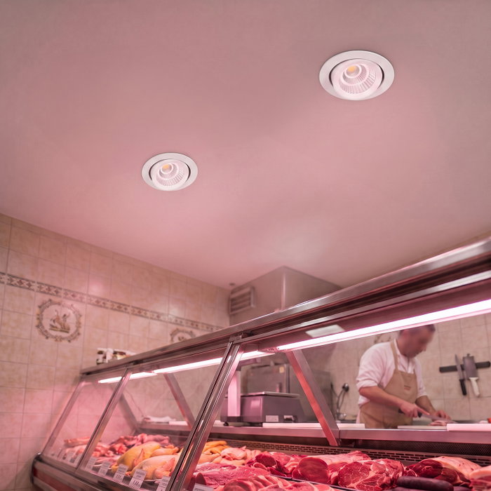 Spot encastré LED inclinable 36W - Puce spéciale pour boucheries - Rose Spot encastré LED inclinable 36W - Puce spéciale pour boucheries - Rose