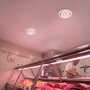 Spot encastré LED inclinable 36W - Puce spéciale pour boucheries - Rose