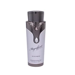 Armaf Magnificent Eau de Parfum 100 ml