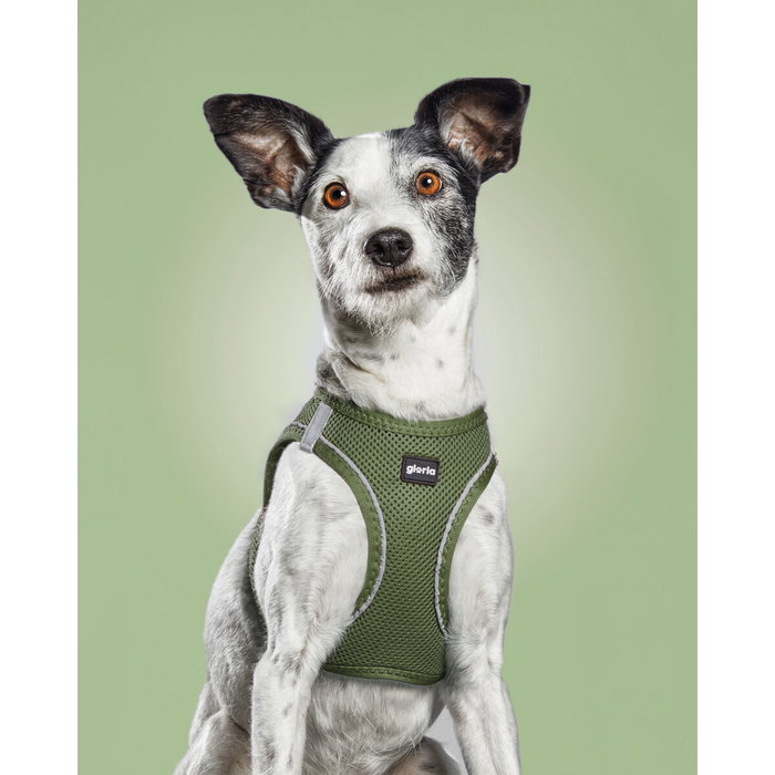 Harnais pour Chien Gloria 51-52 cm Vert L 33,4-35 cm Harnais pour Chien Gloria 51-52 cm Vert L 33,4-35 cm