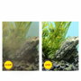 Ciano Pack de cartouches de filtration de rechange XL pour 3 mois, compatible filtre CFBioXL