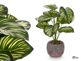 Ibergarden Pot de Plante Feuille Bicolore 19x37x19 cm Plastique et Magnésium Vert (Set de 8)