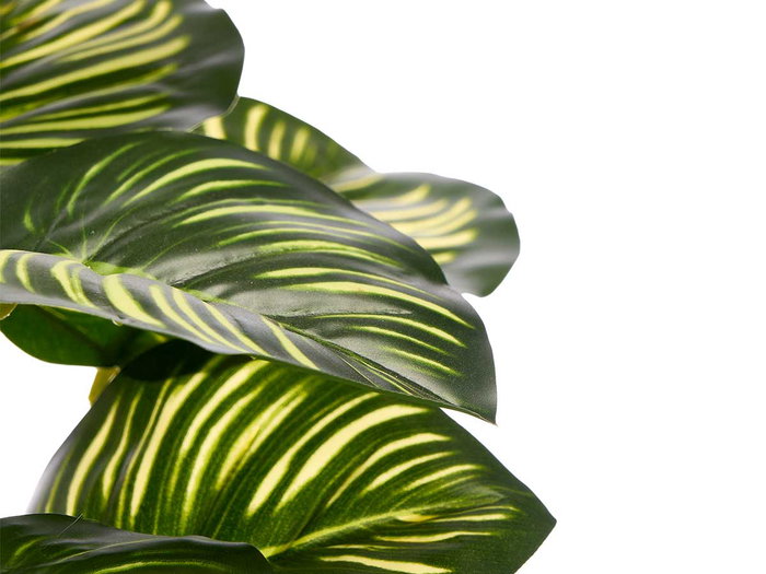 Ibergarden Pot de Plante Feuille Bicolore 19x37x19 cm Plastique et Magnésium Vert (Set de 8)