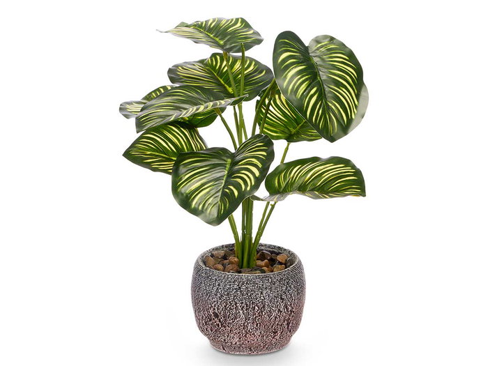 Ibergarden Pot de Plante Feuille Bicolore 19x37x19 cm Plastique et Magnésium Vert (Set de 8)