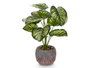 Ibergarden Pot de Plante Feuille Bicolore 19x37x19 cm Plastique et Magnésium Vert (Set de 8)