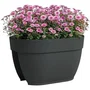 Artevasi Jardinière de balcon CAPRI CAMPANA - 40 ma - Plastique anthracite - 39 x 25,6 x 22,5 cm - Décoration extérieure