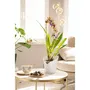 Lechuza Jardinière Orchidée All-in-One Blanc Mat - Pot pour Phalaenopsis et Dendrobium avec Système D'arrosage