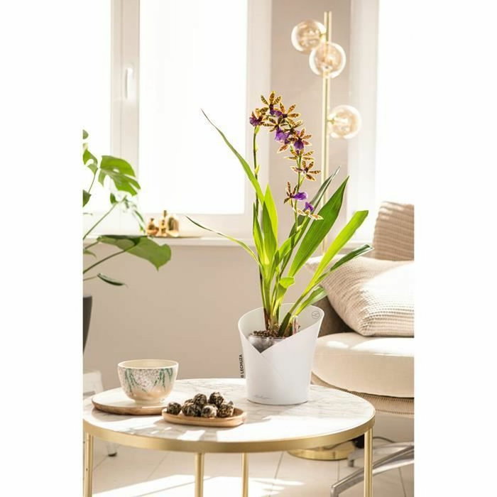 Lechuza Jardinière Orchidea All-in-One Blanc mat