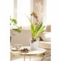 Lechuza Jardinière Orchidea All-in-One Blanc mat