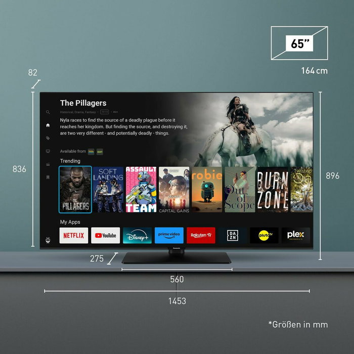 TV intelligente Samsung TB65W61AEZ 4K Ultra HD 65" LED DVB-T2 DVB-S2