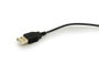 Conceptronic Souris Optique USB CLLM3BDESK, Ambidextre, 3 Boutons, 800 DPI - Noir et Gris