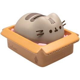 Pusheen tirelire