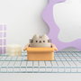 Pusheen tirelire